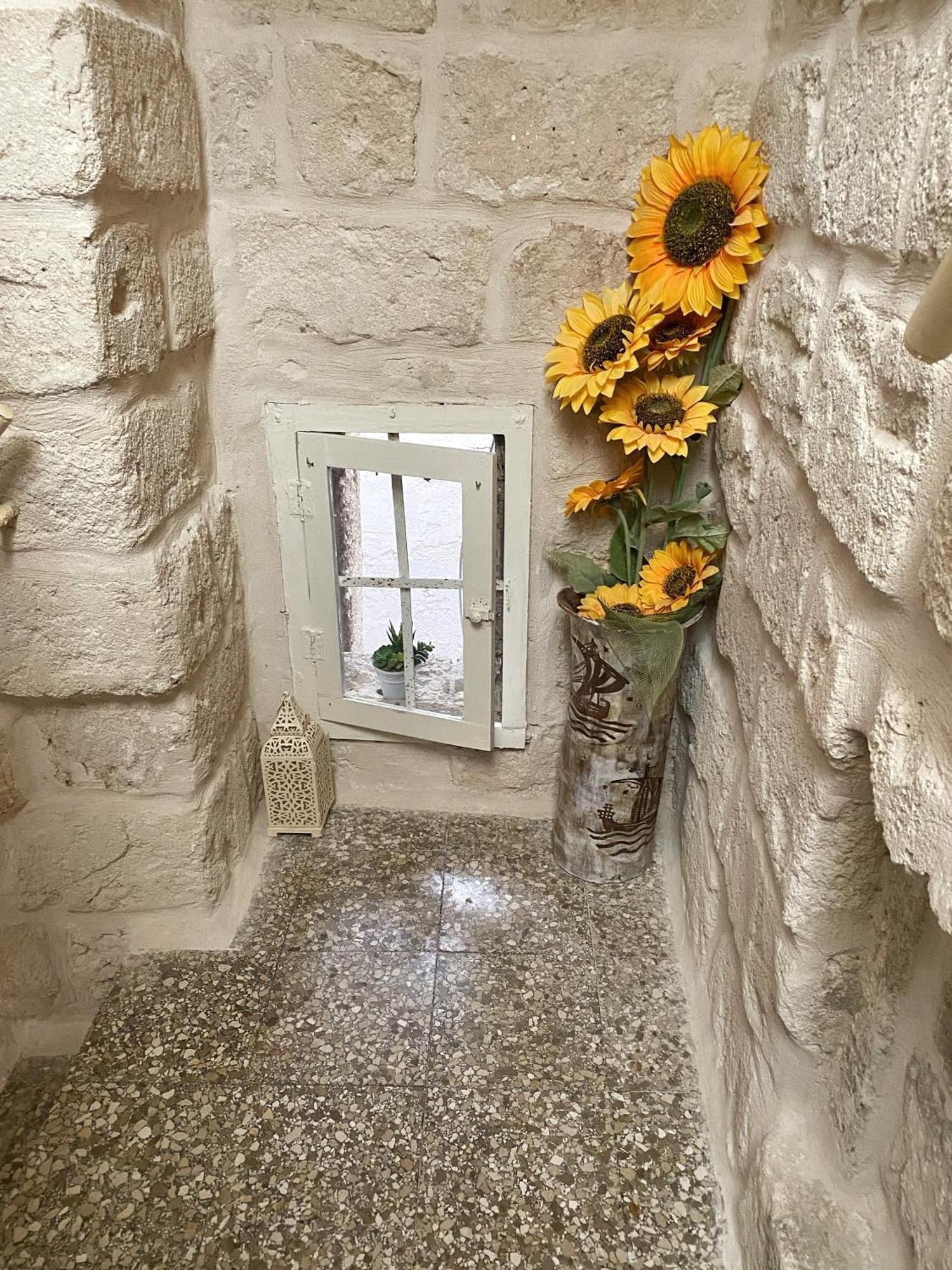 מונופולי Terrazza Mediterranea - Puglia Mia Apartments מראה חיצוני תמונה